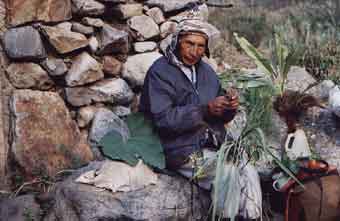Hilarion Suxo